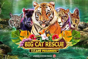 Big Cat Rescue Megaways Demo Slot