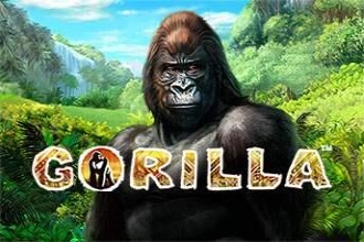 Gorilla Demo Slot