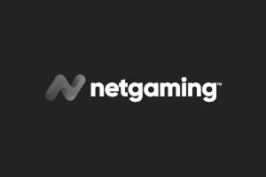 NetGaming 